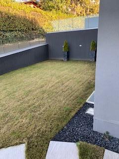 IMG 2956